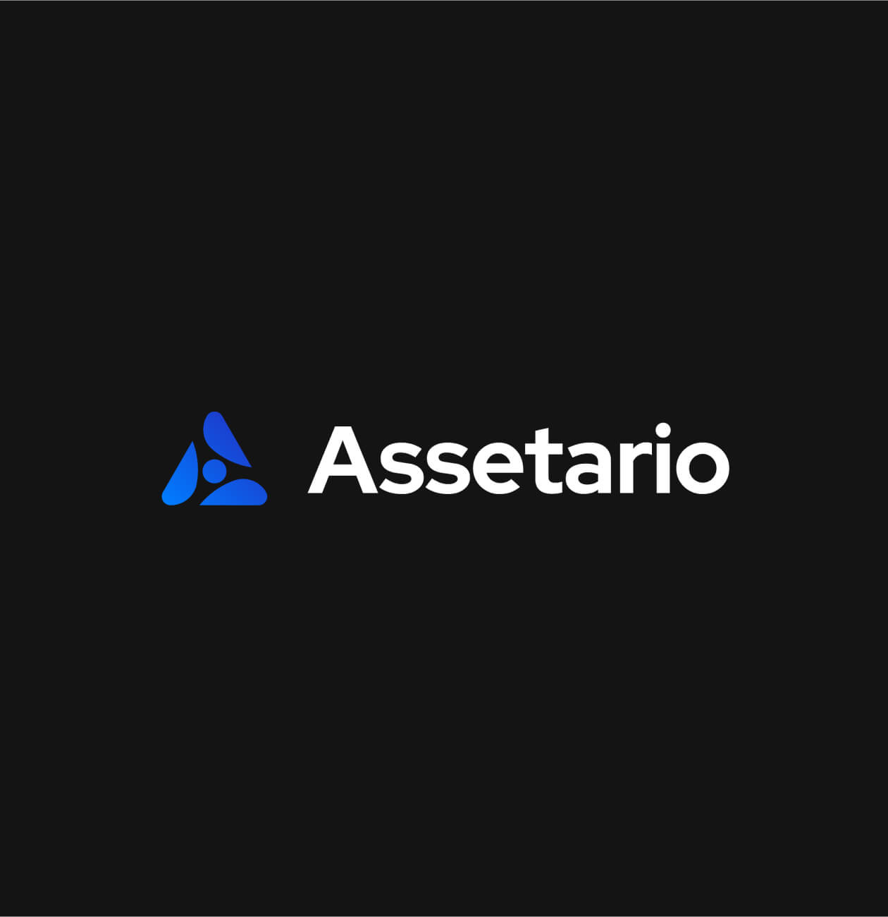 Assetario – Branding for the SaaS platform - Website Development - Photo 2