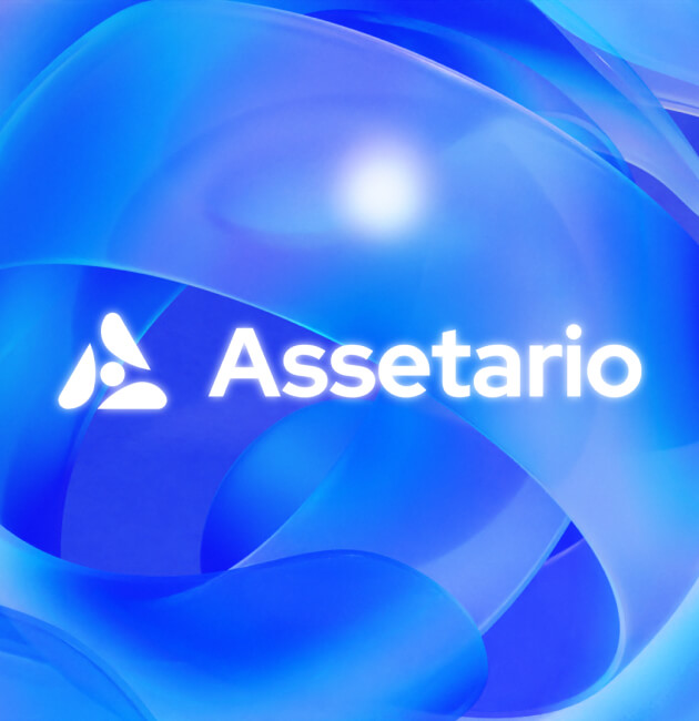 Assetario – Branding for the SaaS platform - Website Development - Photo 1