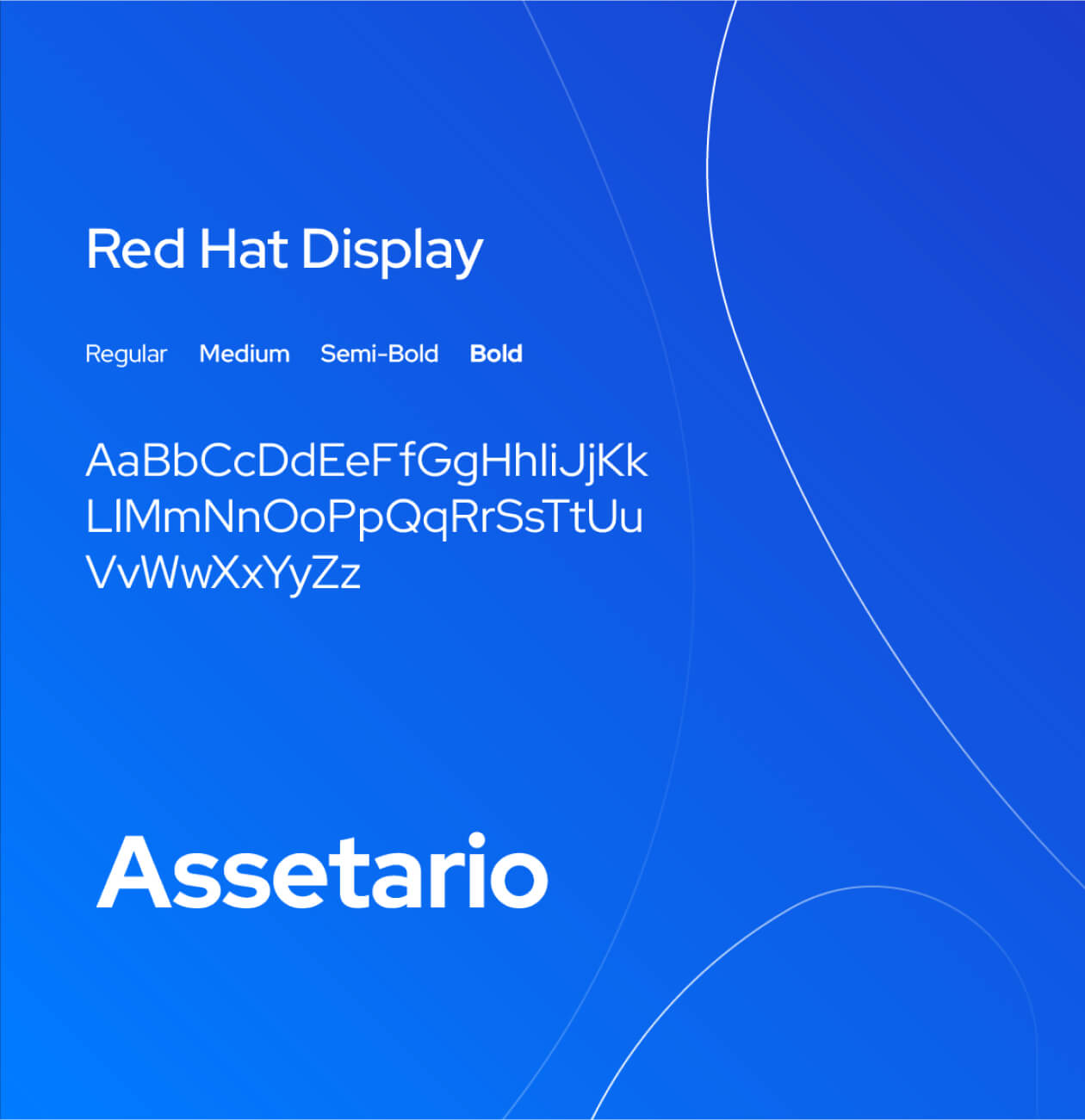 Assetario – Branding for the SaaS platform - Website Development - Photo 7