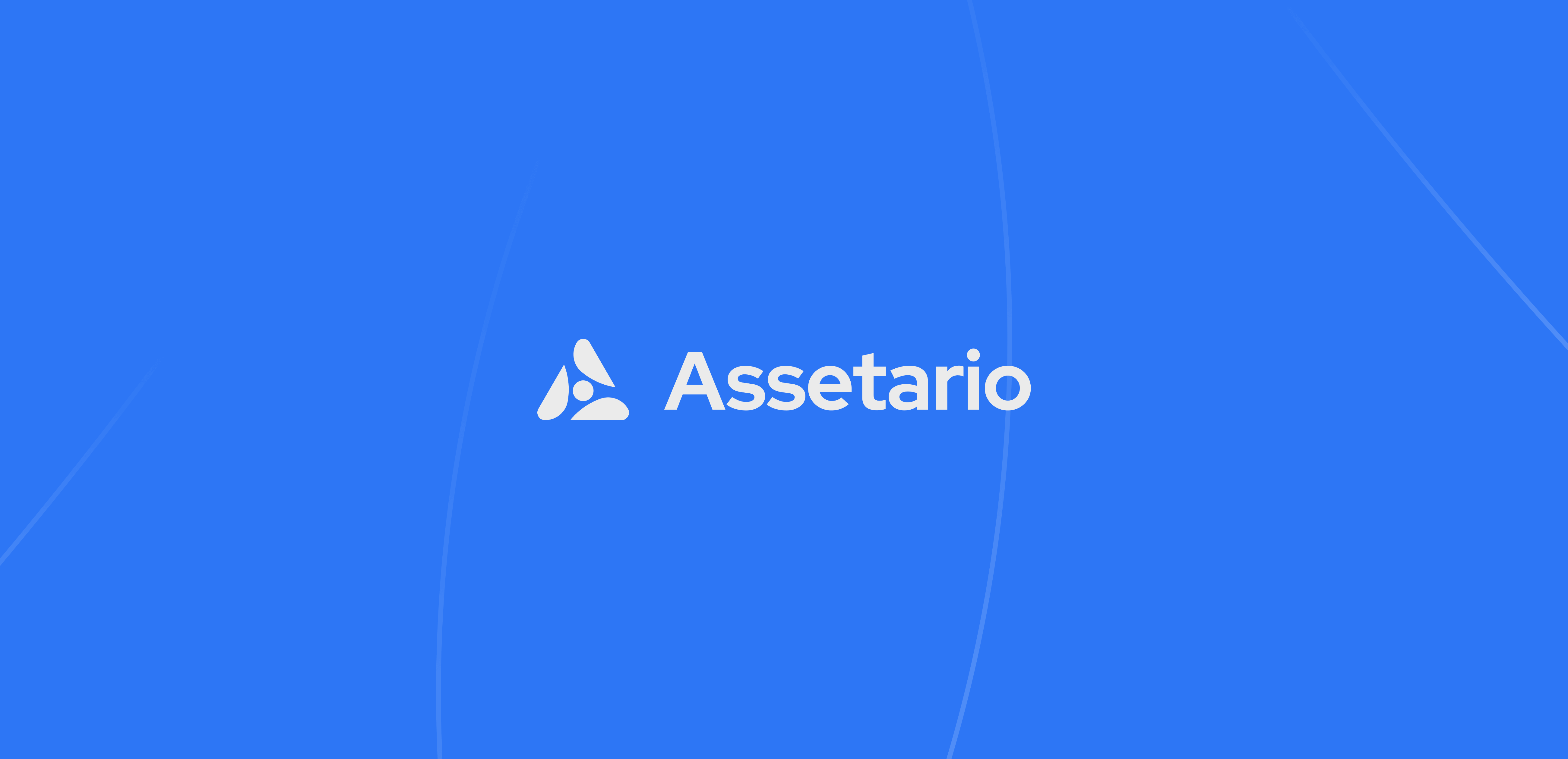 Assetario – Branding for the SaaS platform - Website Development - Photo 4
