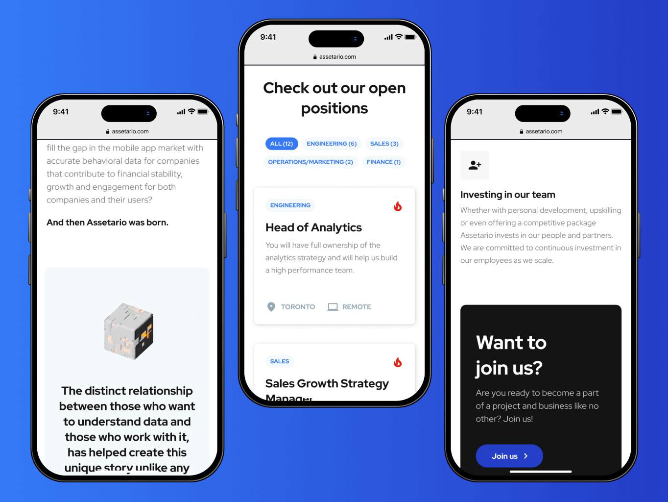 Assetario – website for the best in class platform for app personalization - Website Development - Photo 17