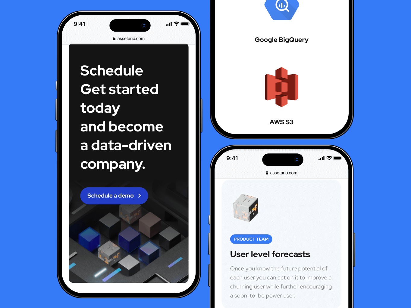 Assetario – website for the best in class platform for app personalization - Website Development - Photo 4