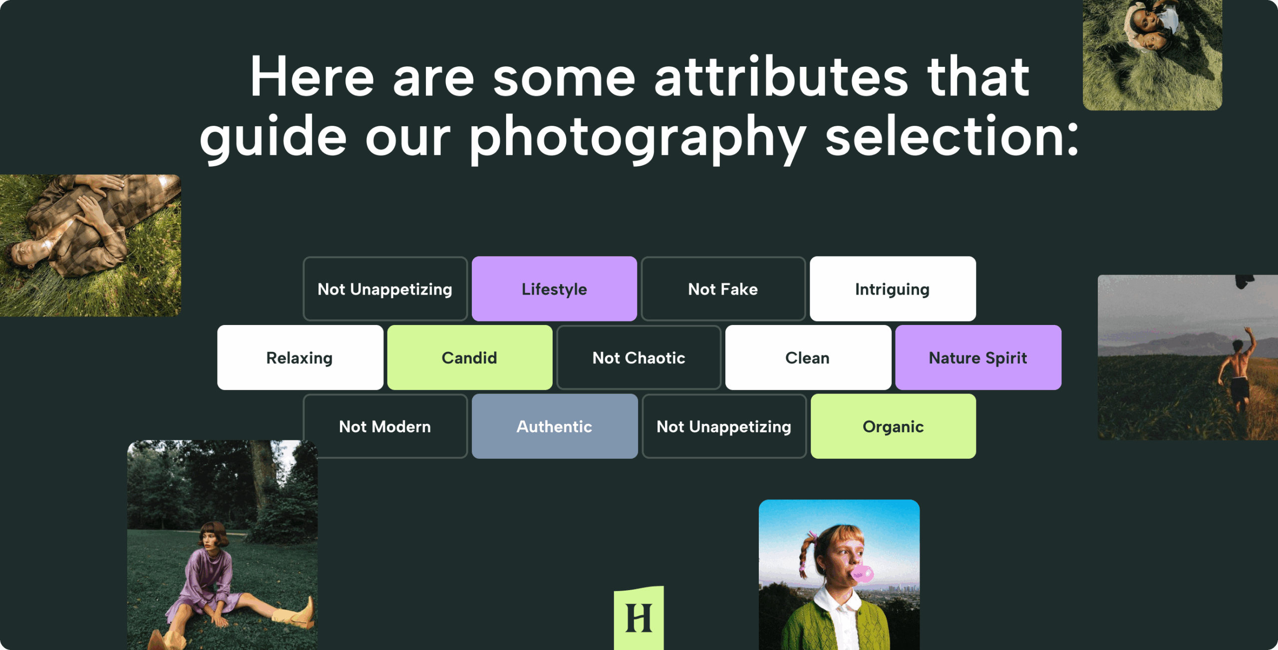 Herb.Agency – rebranding the cannabis experience - Website Development - Photo 23