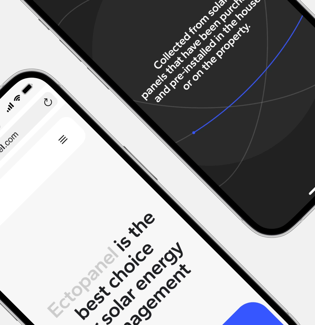 Ectopanel – promo website for mobile app - Website Development - Photo 14