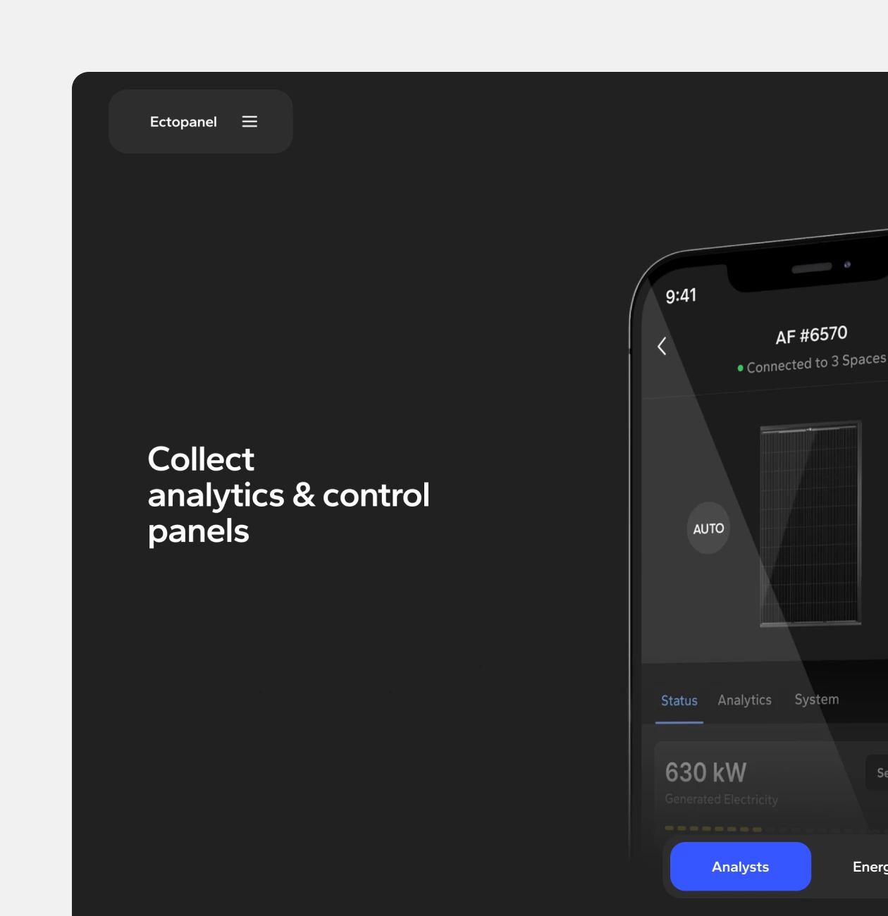 Ectopanel – promo website for mobile app - Website Development - Photo 10