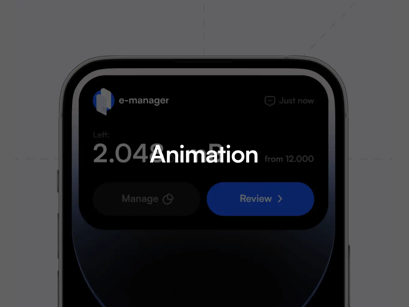E-manager – mobile app for e-sim management - Website Development - Photo 3